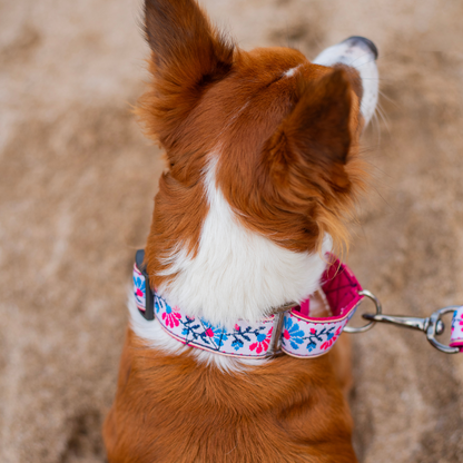 Martingale Dog Collar: Peony Petal