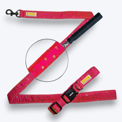 Lush Pink Festive Dog Collar & Leash