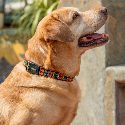 Colourful Trails Dog Collar