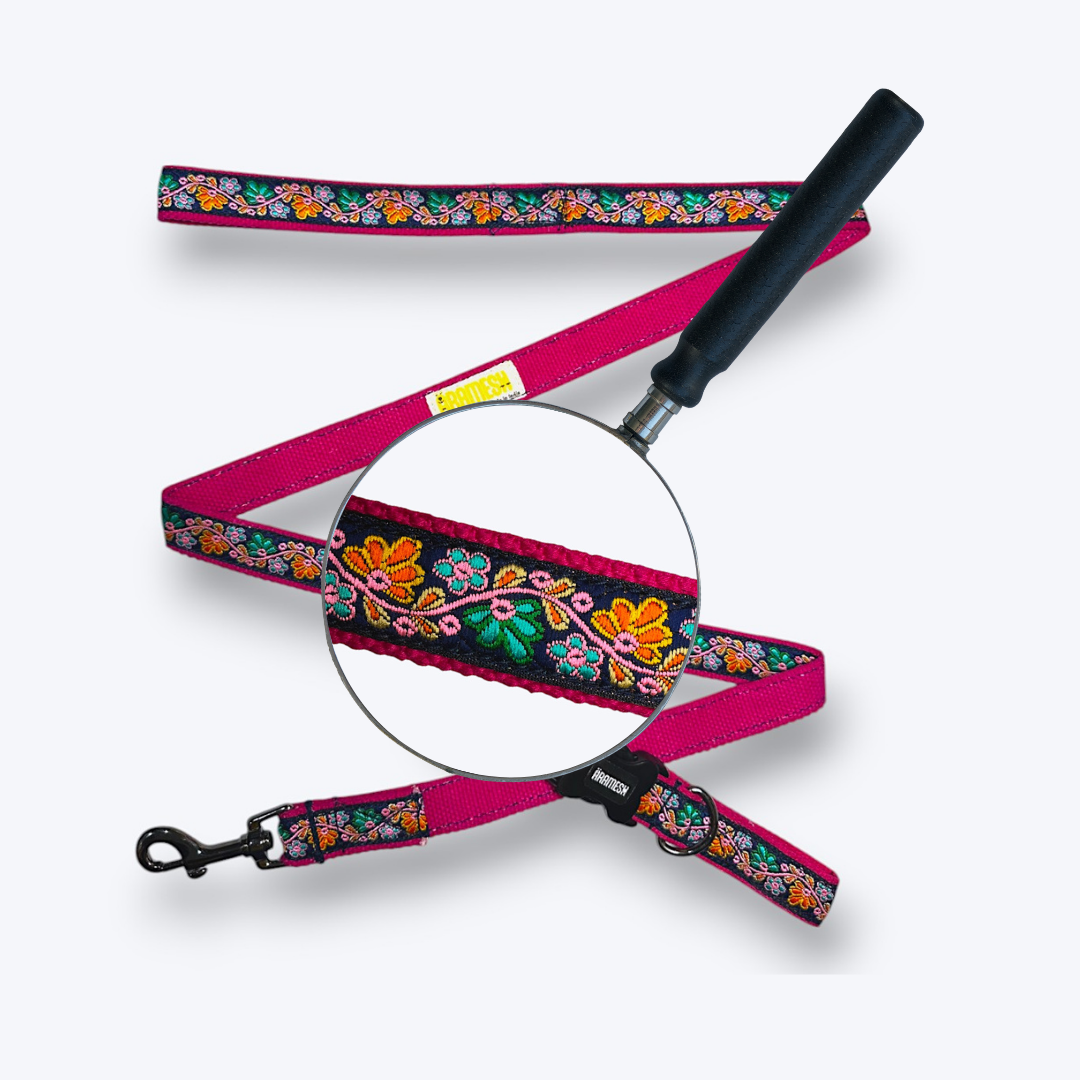 Electric Bloom Dog Collar & Leash