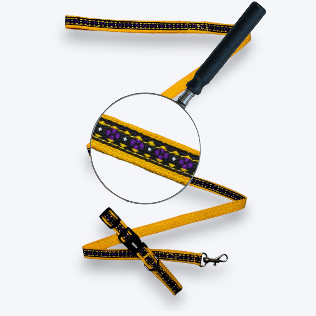 Amber Paws Cat Collar & Leash Set