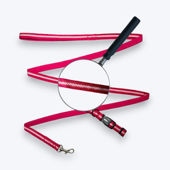 Pink Whisper Cat Collar & Leash Set