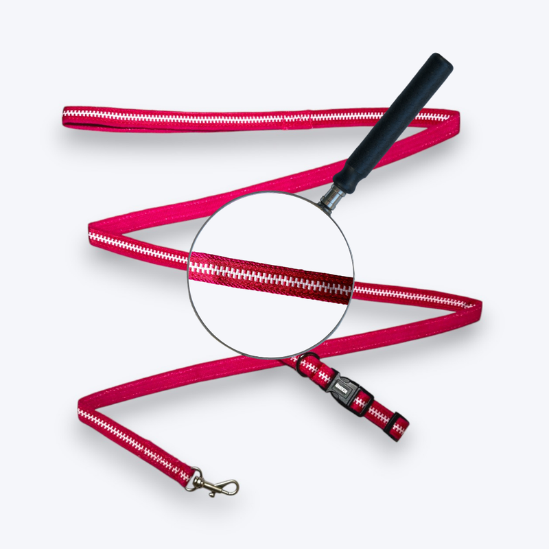 Pink Whisper Cat Collar & Leash Set