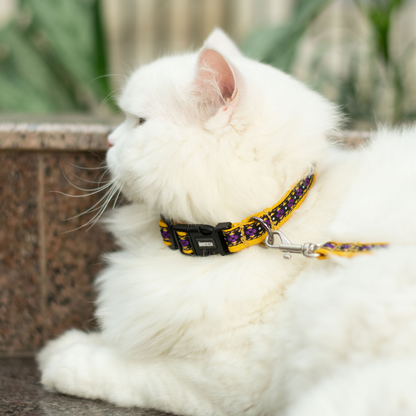 Amber Paws Cat Collar & Leash