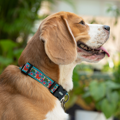 Floral Skies Dog Collar & Leash