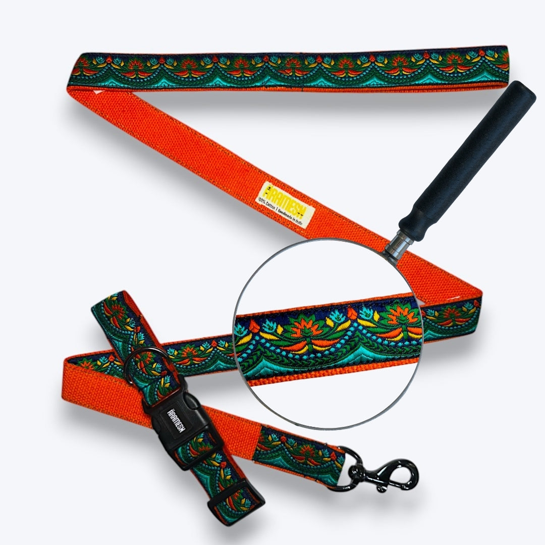 Fire & Ice Dog Collar & Leash