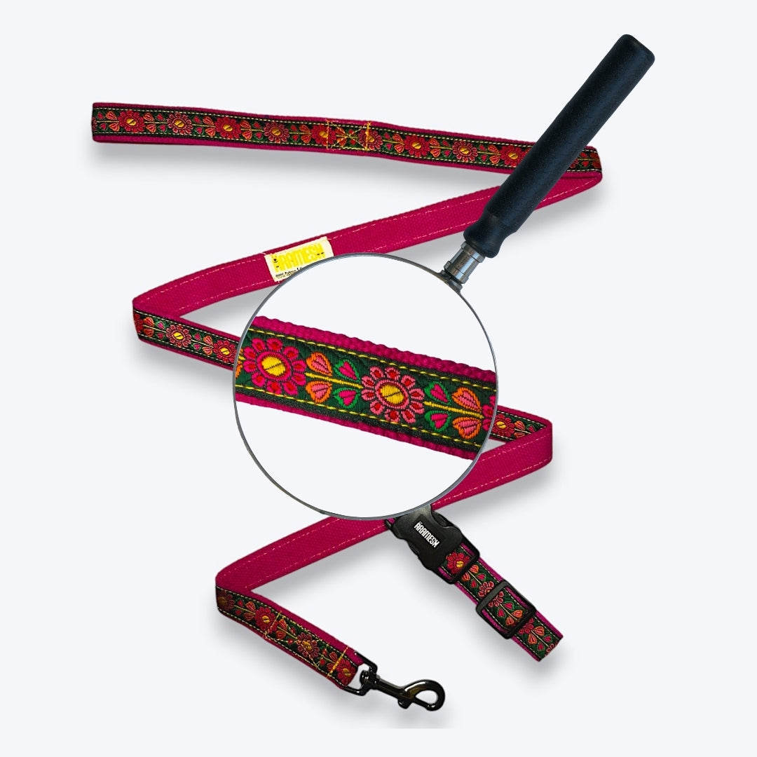 Emerald Glow Dog Collar & Leash