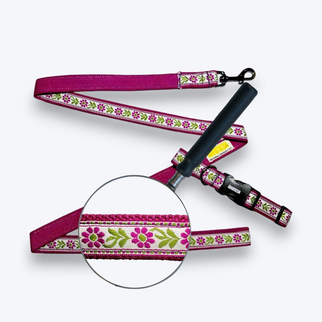 Lavender Sunshine Dog Collar & Leash