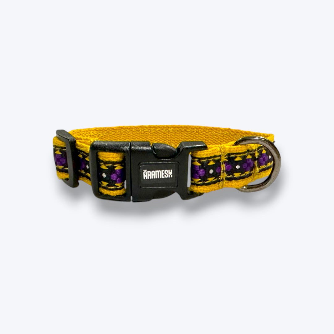 Amber Paws Cat Collar & Leash