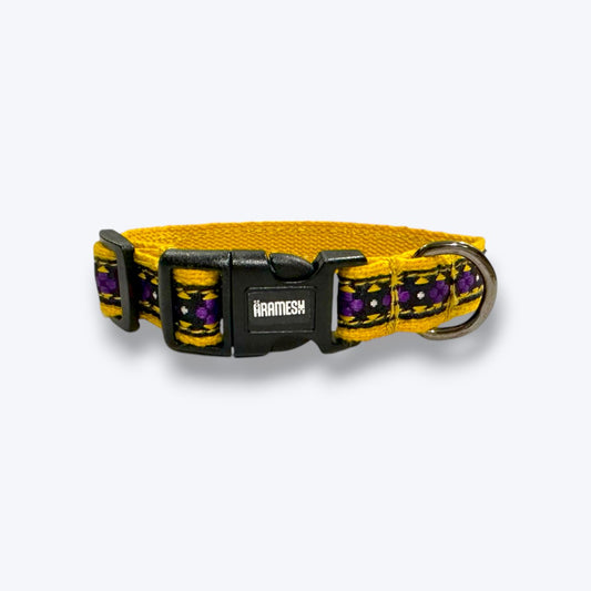 Amber Paws Cat Collar