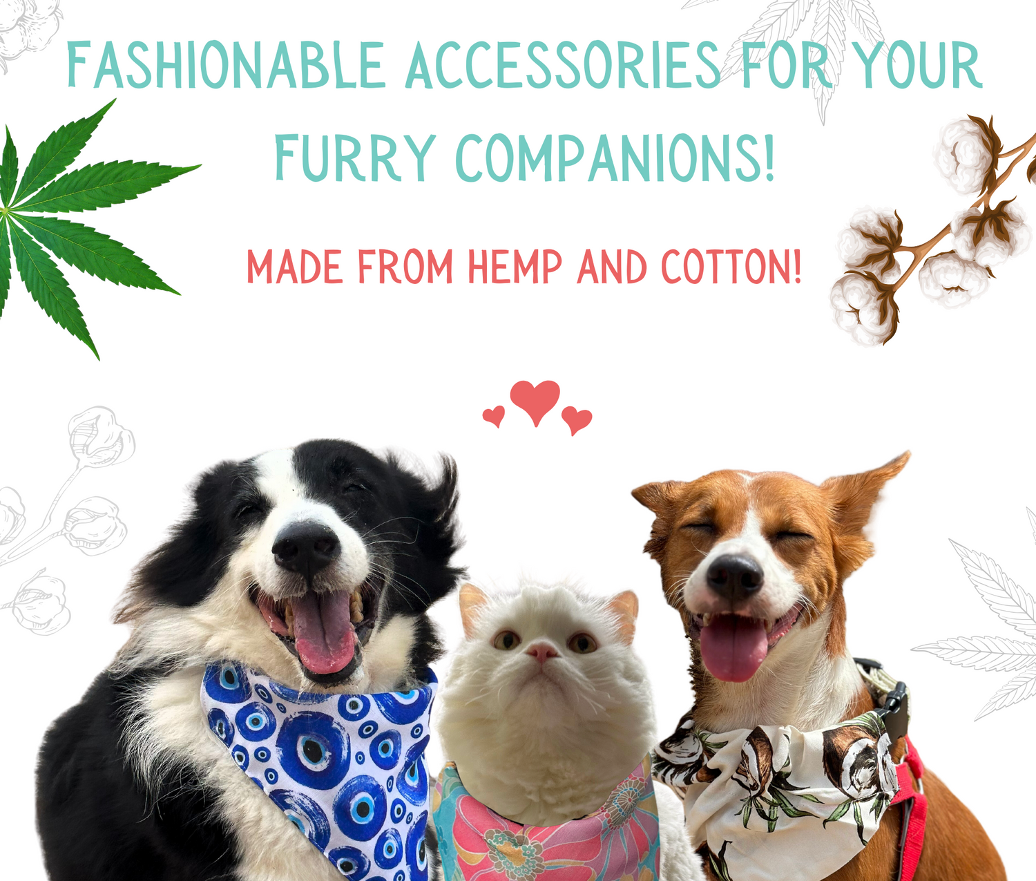 Aramesh Ecofriendly Pet Accessories