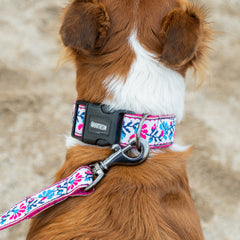 Peony Petal Dog Collar