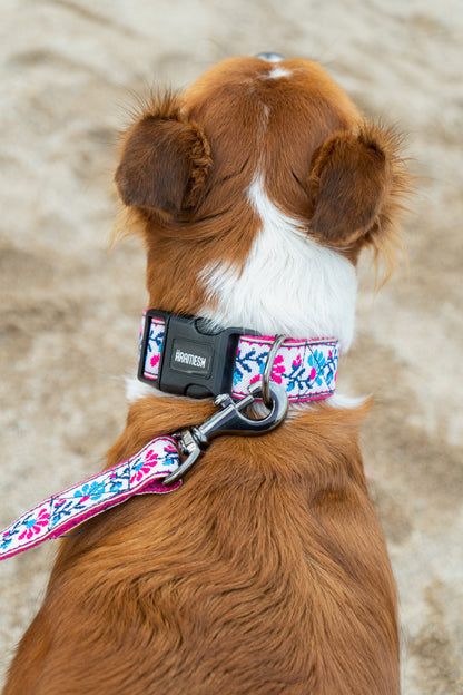 Peony Petal Dog Collar