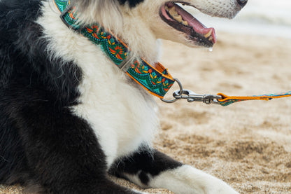 Martingale Dog Collar: Fire & Ice