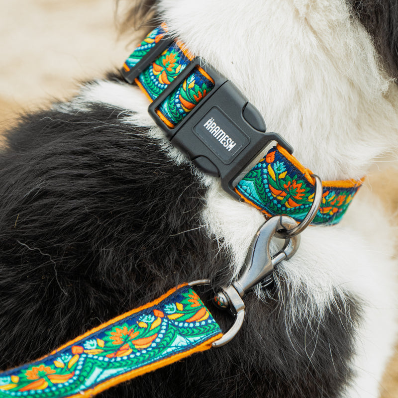 Fire & Ice Dog Collar