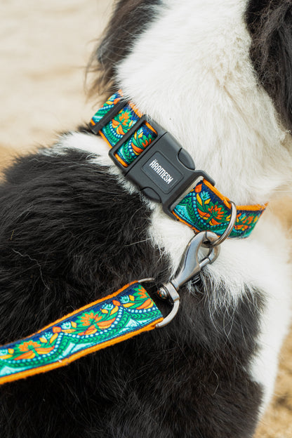 Fire & Ice Dog Collar