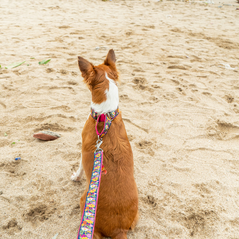 Coastal Bloom Dog Leash