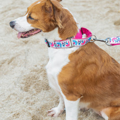 Martingale Dog Collar: Peony Petal